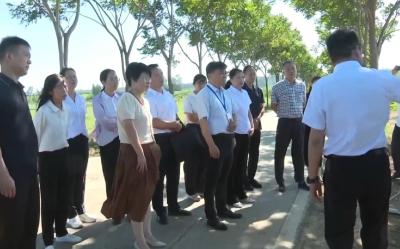 V视 | 市政协组织住枣阳的襄阳市政协委员开展履职调研学习交流活动