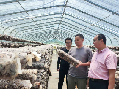刘发江：从工程师到“新农人”