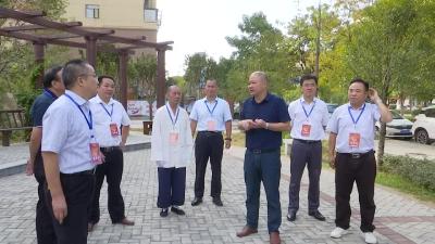 【视频】浠水县政协组织部分委员视察“五城同创”工作