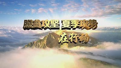 散花示范区举行脱贫攻坚“夏季攻势”暨产业扶贫工作推进会