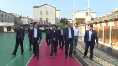 【视频】詹旺民带队到浠水县调研乡村振兴和人才工作