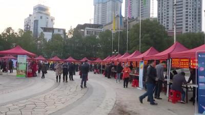 【视频】浠水县举行2020年“春风行动暨就业援助月”专场招聘会