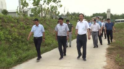 【视频】市人大常委会副主任詹旺民率调研组来浠水县调研