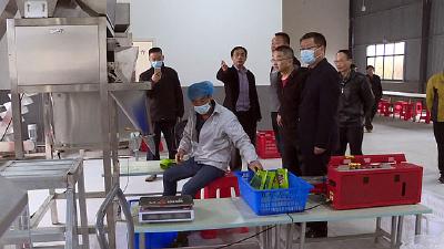 【视频】浠水县政协开展基层农业服务体系建设专题调研