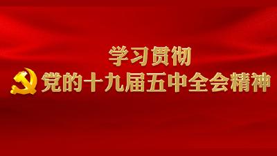 党的十九届五中全会公报要点精读