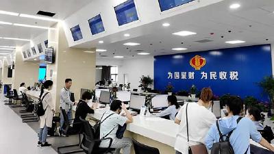浠水县税务局​第一税务分局党支部：党旗所向 青春绽放