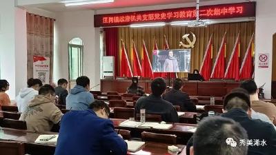 汪岗镇开展党史学习教育第二次集中学习