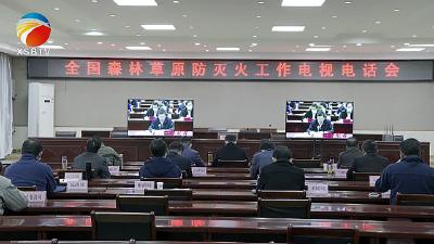 【视频】浠水县集中收听收看全国森林草原防灭火工作电视电话会