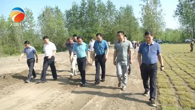 【视频】付宇 陈正红调研督导中央环保督察反馈问题整改和南城污水处理厂项目建设工作