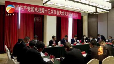 【视频】张飞雄、夏世清参加关口镇代表组审议