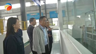 【视频】陈正红到县经济开发区调研工业经济发展工作