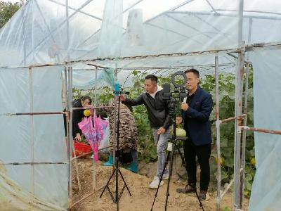 【公益助农】直播电商走进绿禾采摘园，“公益助农”助力乡村振兴