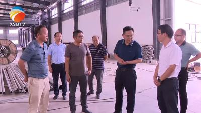 【视频】陈正红到工业园区调研经济社会发展和安全生产工作