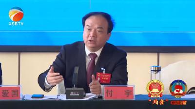 【视频】付宇参加巴河镇代表组审议