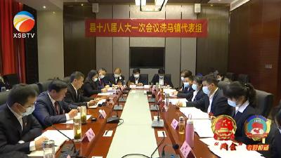 【视频】张明波、黄建文参加洗马镇代表组审议