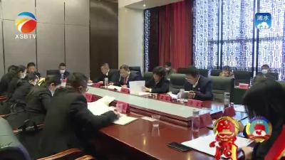 【视频】高磊、汪湘云参加绿杨乡代表组审议
