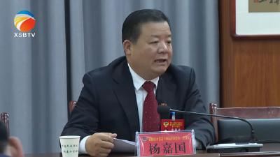 【视频】杨嘉国参加7个界别小组审议