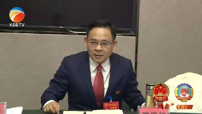 【视频】陈正红参加散花镇代表组审议