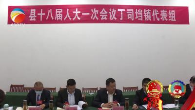 【视频】徐洪斌参加丁司垱镇代表组审议