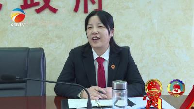 【视频】邓爱萍参加清泉镇第二代表组审议