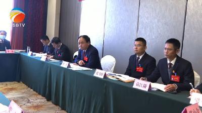 【视频】付宇、张飞雄、李国民参加关口镇代表组审议