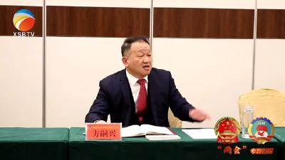 【视频】方嗣兴参加总工会、共青团、妇联界小组审议