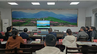 绿杨乡高质量发展交流会