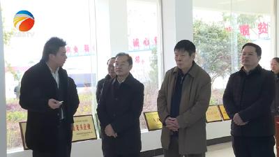 【视频】农业农村部专家组来我县调研夏粮小麦丰收和春耕备耕工作