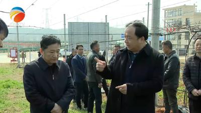 【视频】金鑫来我县调研农业农村工作