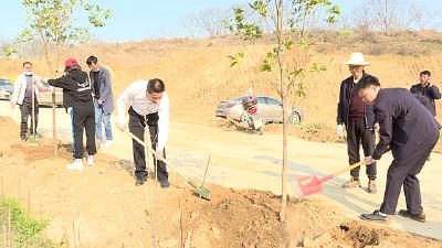  兰溪镇机关干部开展义务植树活动