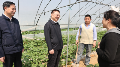 不忘初心牢记使命巩固拓展党史学习教育成果，加快推动经济社会高质量发展！王蒙徽在红安调研