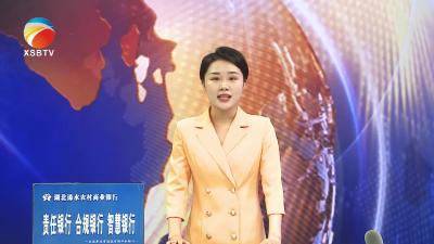 【视频】我县李柳媛入选省级非物质文化遗产代表性传承人