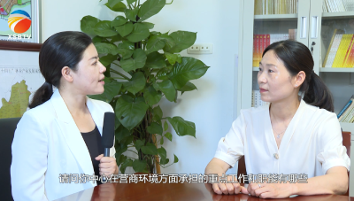 【视频】《打造一流营商环境、助力浠水高质量发展》专栏,专访县金融服务中心主任邓薇