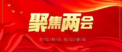 一论贯彻落实全国两会精神：深刻领悟“两个确立” 坚决做到“两个维护”