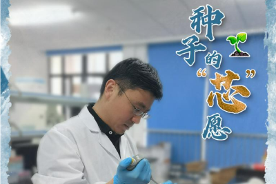 新时代新征程新伟业·习近平总书记关切事丨种子的“芯”愿