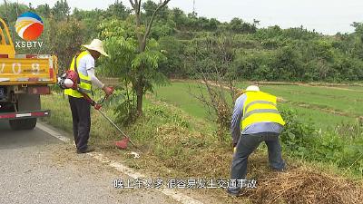 【视频】养好管好“连心路” 优化环境“引财富”