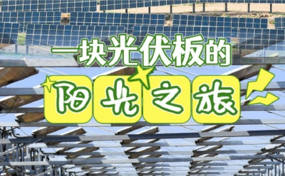 习近平总书记关切事｜书写多彩的生态答卷——在世界环境日到来之际倾听人与自然和谐共生的故事