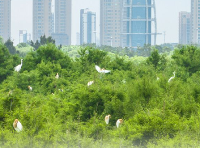 看图学习丨中国式现代化是人与自然和谐共生的现代化