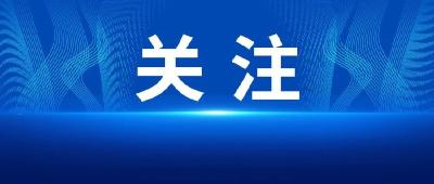 湖北省政府党组召开主题教育典型案例剖析会 王忠林主持会议并讲话
