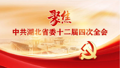 聚焦中共湖北省委十二届四次全会