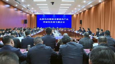 【视频】县委供应链建设暨蛋鸡产业突破性发展专题会议召开
