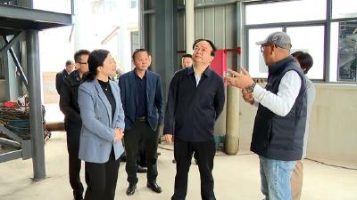 【视频】付宇到散花示范区调研重点项目建设工作