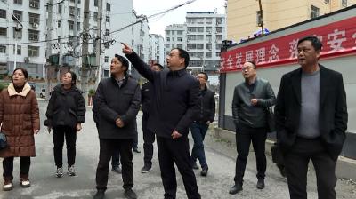 【视频】付宇调研为民办实事项目建设