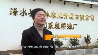 【落实县委全会精神 奋力夺取开门红】专访关口镇和县供销社负责人