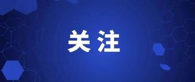 浠水部署2024年城区“禁限鞭”工作 