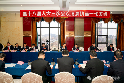 陈正红参加清泉镇第一代表组审议