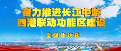 【视频】【“奋力推进长江中游四港联动功能区建设”全媒体访谈】专访丁司垱镇党委书记 李二红