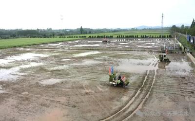 全省智能农机技术服务暨春耕生产演示现场活动在浠水举办