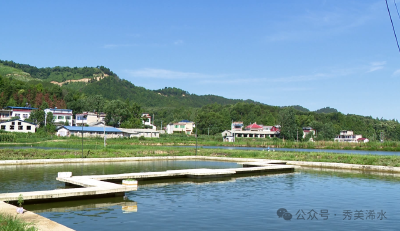 【视频】【聚焦小流域综合治理】清泉镇闫河村：治理“小流域” 绘就“新画卷”