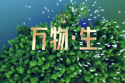 习言道 | 万物·生
